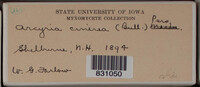 Image Associated With the Occurence